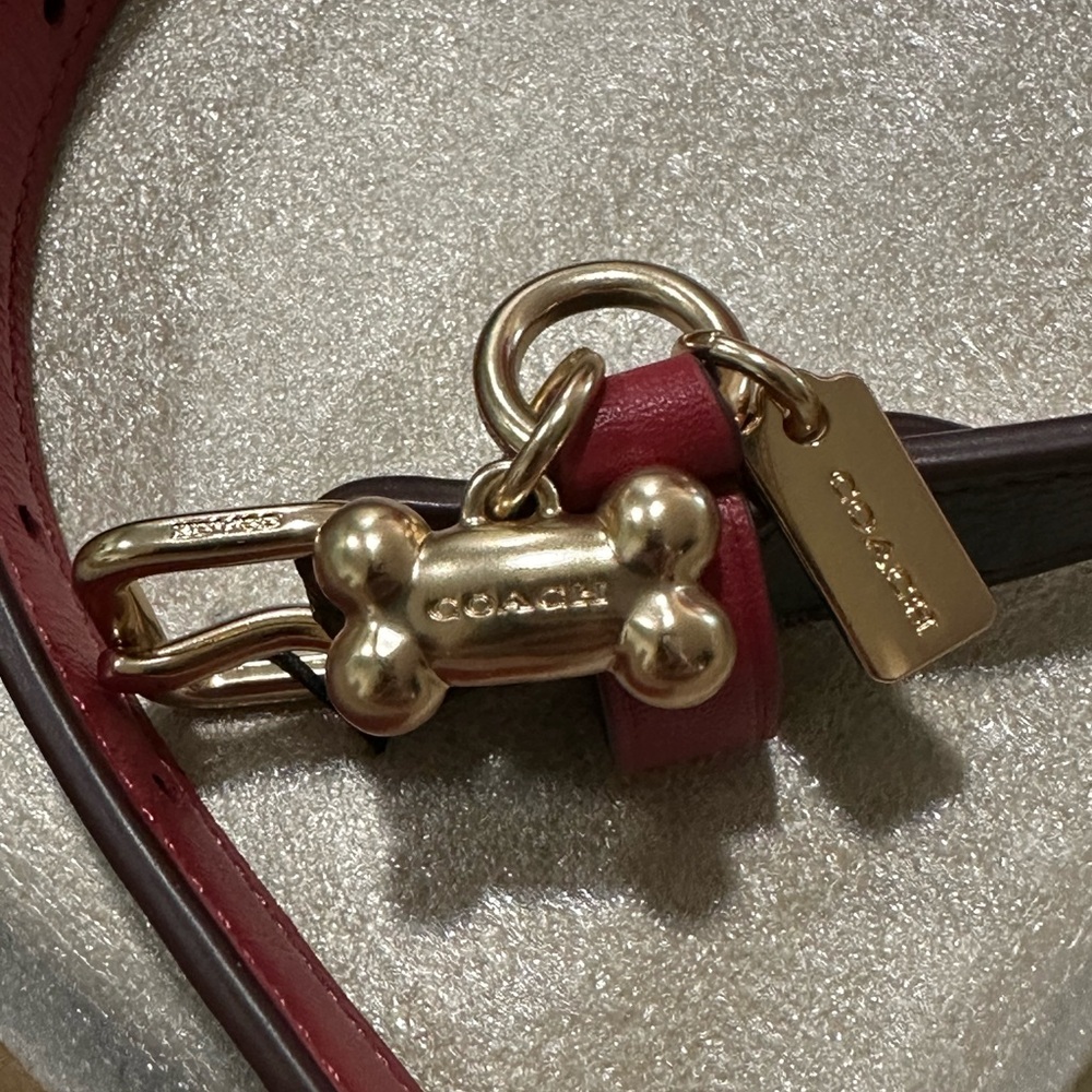 COACH PET DOG COLLAR AND LEASH set brown black red apple New Pretty last set - Picture 8 of 16